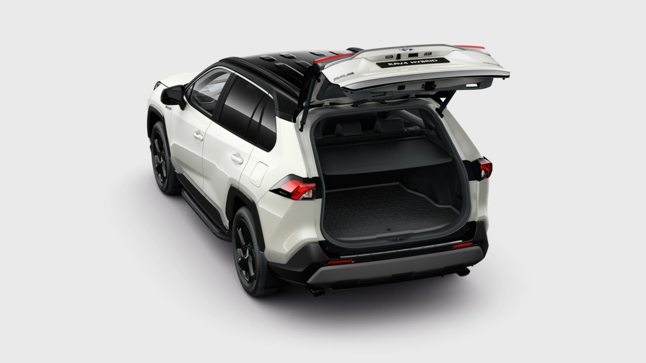 RAV4 Galerie 16