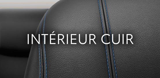 cuir-thumbnail